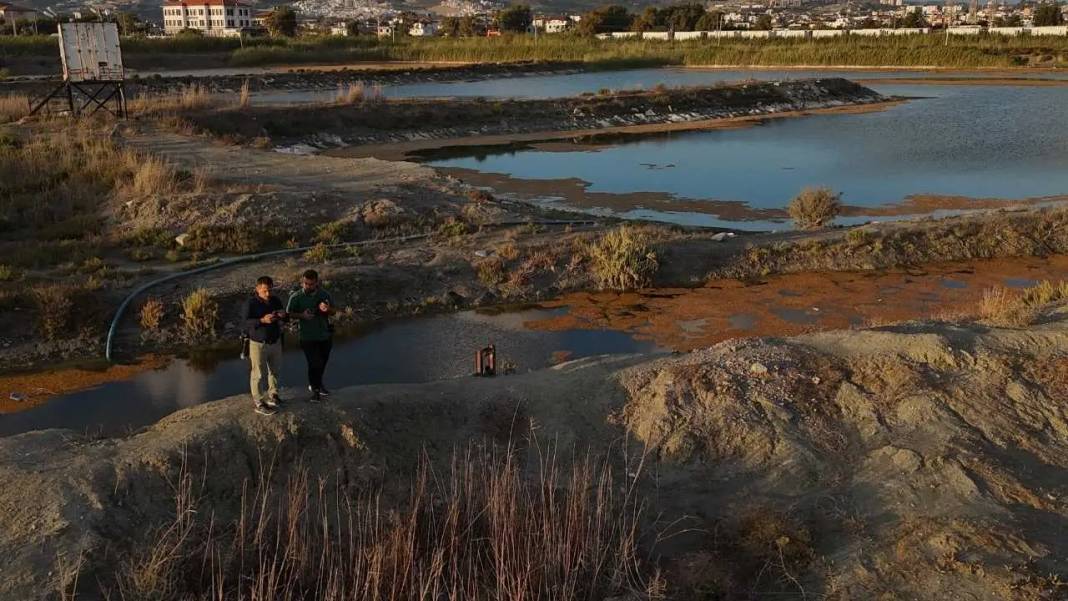 Yağmurlarla Milleyha Kuş Cenneti’nde Hayat Yeniden Başladı 6